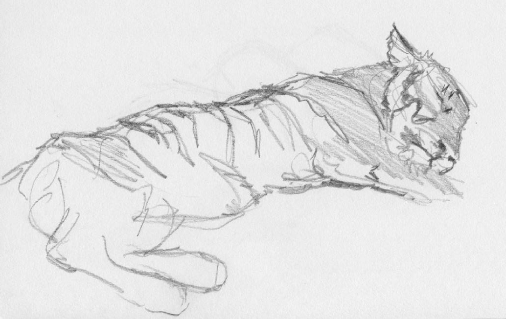 Sketching at the zoo Sketching at the zoo